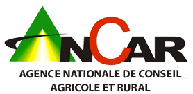 Ancar